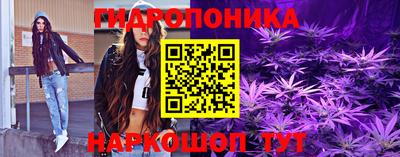 скорость Новозыбков