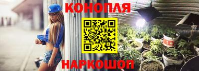 скорость Новозыбков