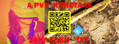 скорость Новозыбков