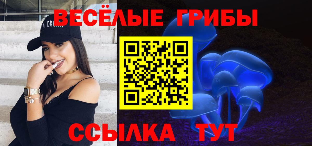 Галлюциногенные грибы Psilocybine cubensis  Вход с VPN  Сызрань 